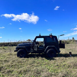 A jeep is parked in the grass with a dog.